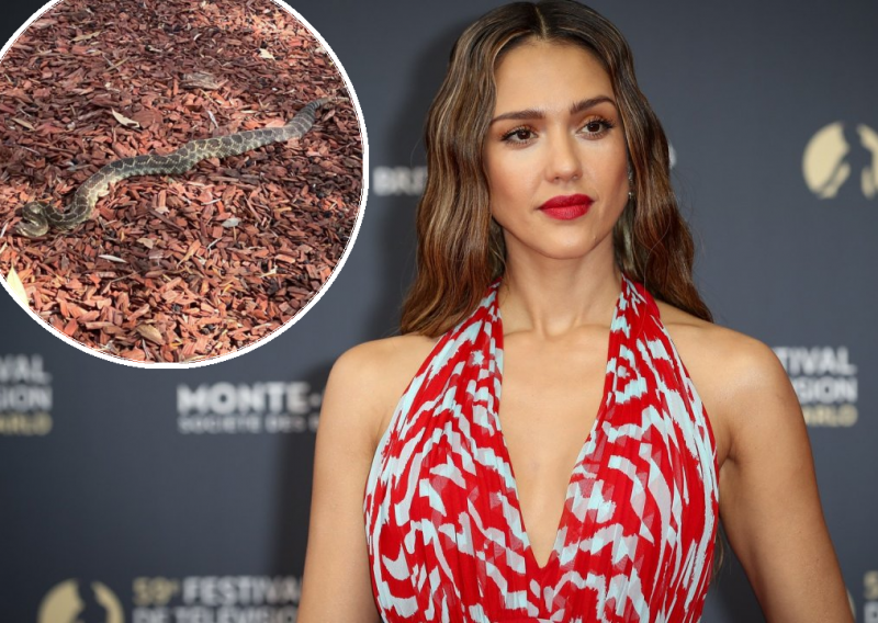 Panično pobjegla u trenutku snimanja: Jessica Alba imala je neugodan susret sa zmijom koji je umalo završio kobno