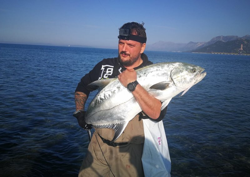 Ako ste mislili da je akvaristika nezahtjevan hobi namijenjen svakome, onda ćete ostati u čudu kad čujete što je sve potrebno znati da biste se ozbiljno njome bavili!