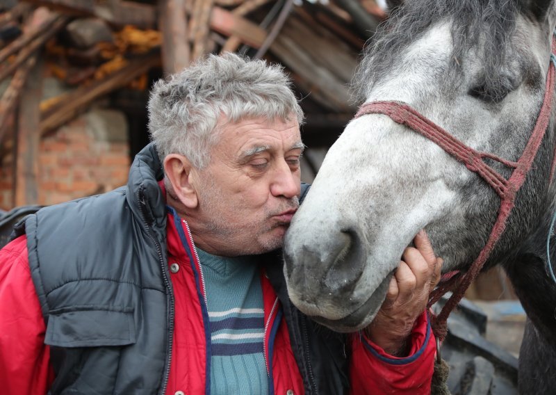 Prijatelji životinja apeliraju: Ne slavite petardama, ljudi su prestravljeni potresima!