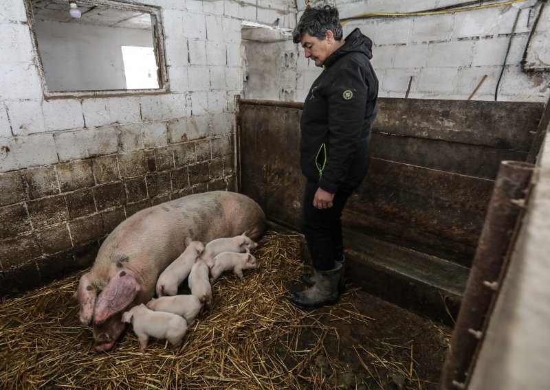 Vindija donira 16 tona stočne hrane stradalima na području Banije