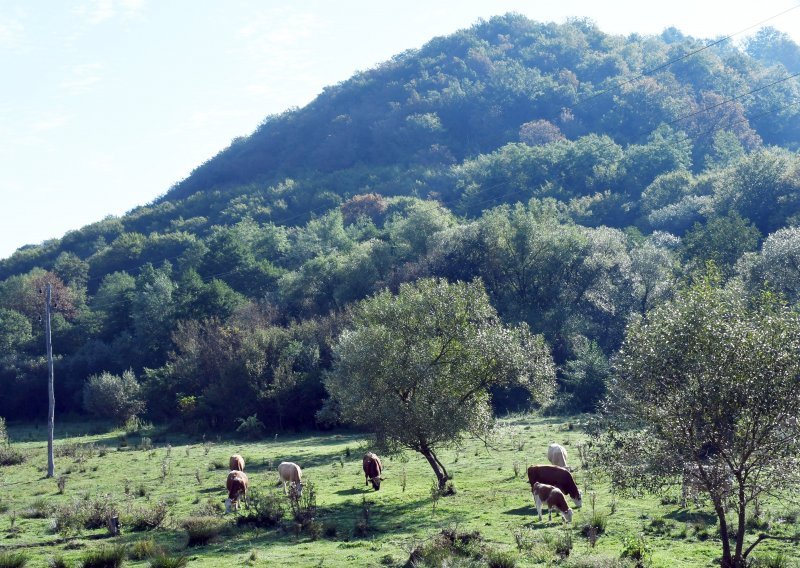 Potres koji je razorio Petrinju dovodi u pitanje odlagalište radioaktivnog otpada na Trgovskoj gori?