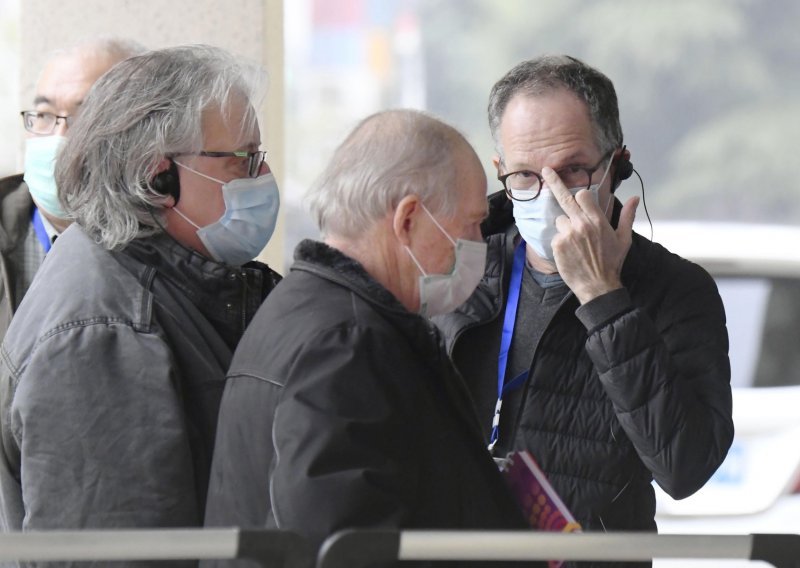 Prvi rezultati velike međunarodne istrage o podrijetlu korone: Virus nije izašao iz laboratorija. Čini se da su za sve krivi šišmiši, možda i mačke