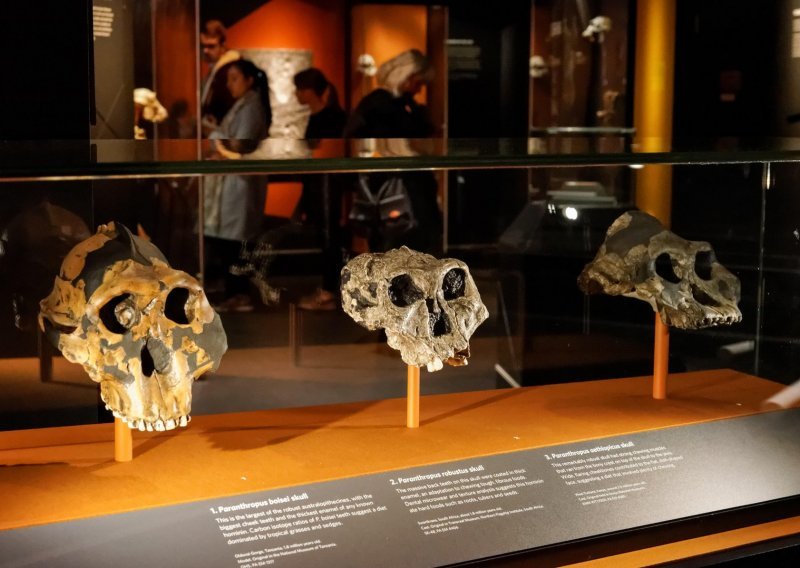 Tajna evolucije: Homo sapiens je kreativnim genima nadvladao praljude