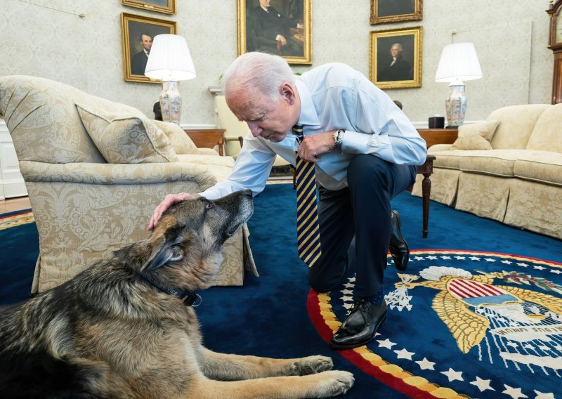 Bideni problematičnom njemačkom ovčaru u Bijelu kuću dovode mačku