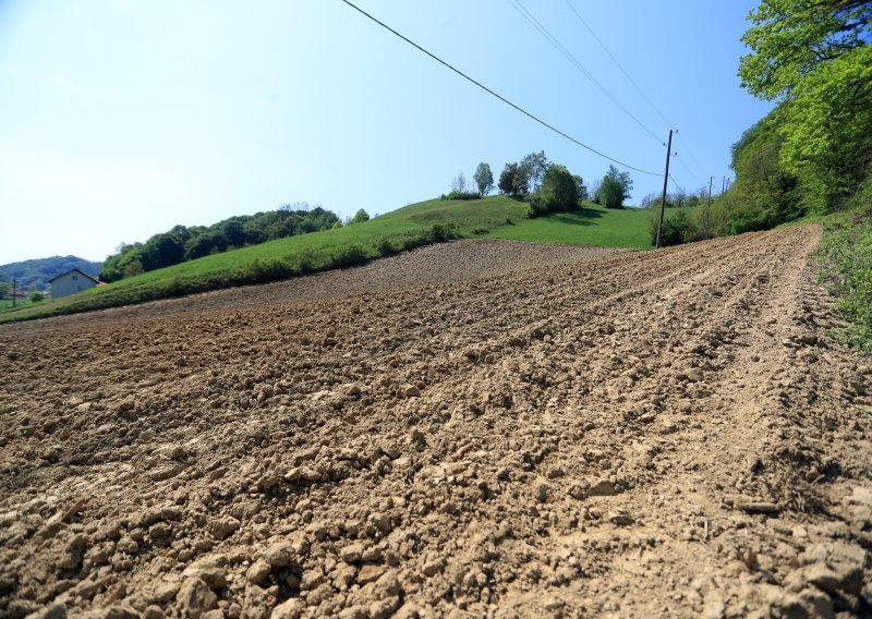 Biskupi u Srbiji nezadovoljni povratom imovine i Zakonom o rodnoj ravnopravnosti