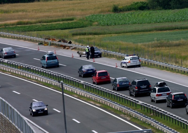 Pas i daska na autocesti - vozači, oprez!