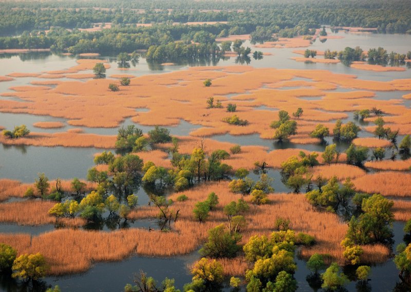 Projektom Wetland Restore obnovljena vrijedna prirodna staništa na području Hrvatske i Srbije