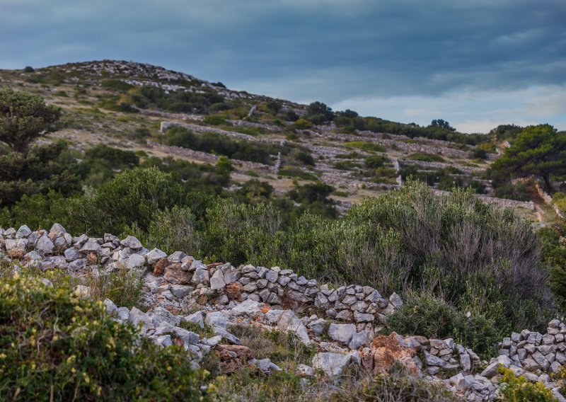 Osmorica pod istragom zbog prodaje lažnih ulaznica u Nacionalni park Kornati; za sebe zadržali od 27 tisuća do 109 tisuća kuna