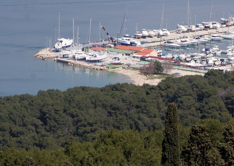 Borove na Marjanu osušila ekstremna klima?