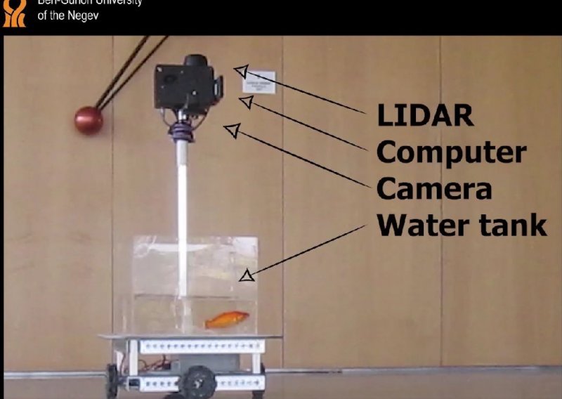 Ovo nije šala - tim izraelskih znanstvenika osmislio vozilo kojim upravljaju zlatne ribice