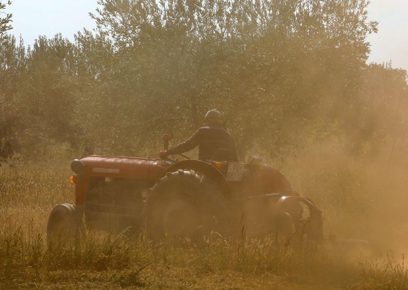 Potvrđena kazna muškarcu koji je s leđa ubio čovjeka kako bi mu uzeo traktor