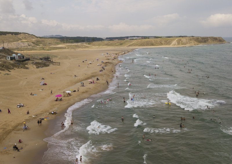 Strvine dupina pronađene na plaži u Istanbulu; stručnjaci sumnjaju da ima veze s ratom u Ukrajini