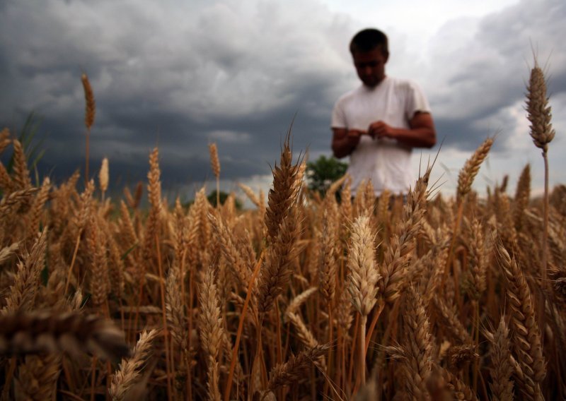 Izmjene zakona uvode GMO u Hrvatsku na 'mala vrata'