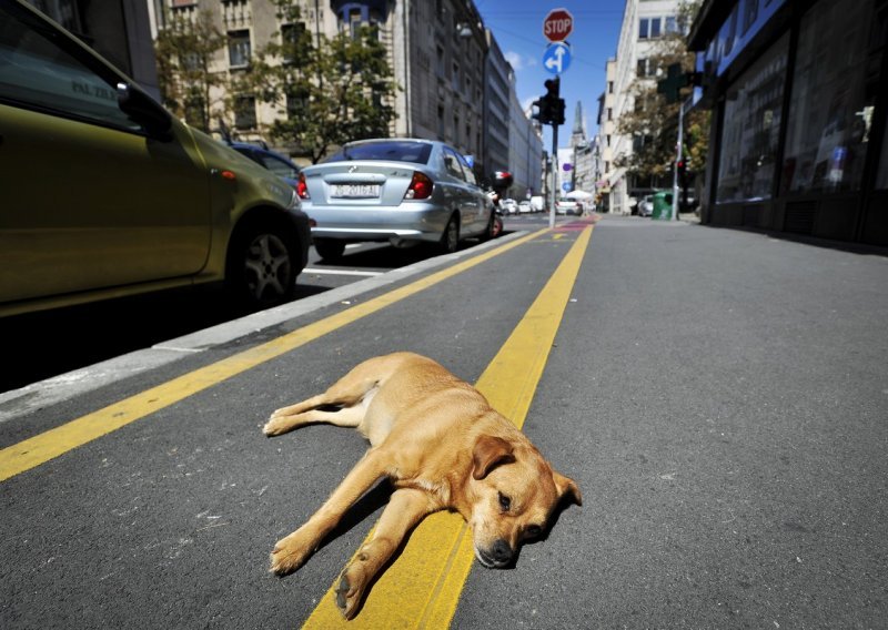 Sredinom tjedna temperature se penju do 35 stupnjeva