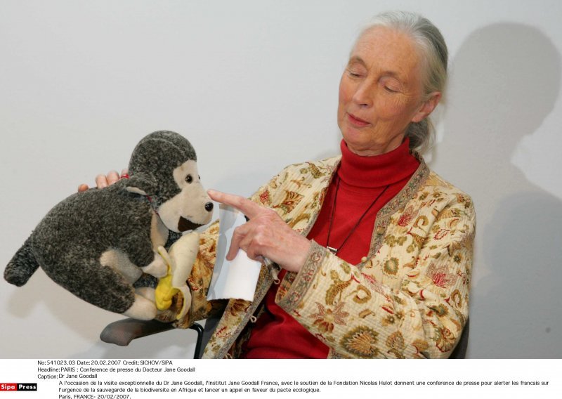 Jane Goodall