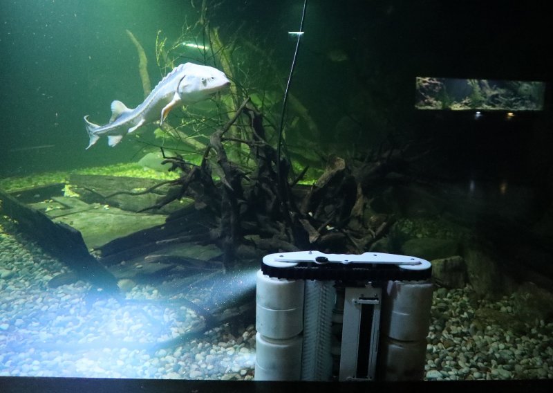[FOTO] Karlovačka AquatiKa predstavila prvi robot perač akvarija  - traži se ime
