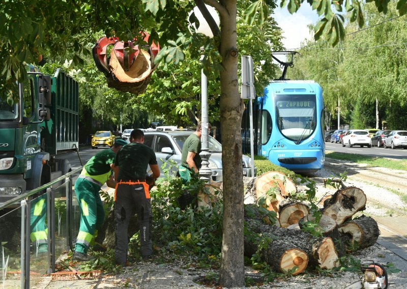 [FOTO] U centru Zagreba se na ženu srušilo stablo, promet Ulicom Medveščak obustavljen