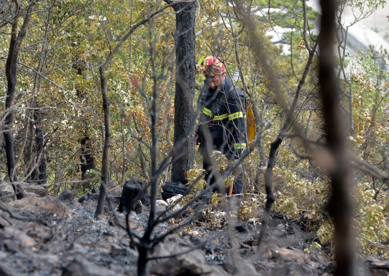 Gori iznad Brela na Biokovu: Zbog vjetra ne može intervenirati helikopter, vatrogasci krenuli pješke