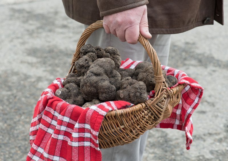 Pokušao prošvercati 78 kilograma crnih tartufa iz Srbije u Hrvatsku