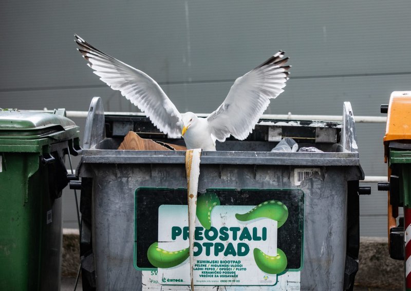 Rijeka uvodi sustav prikupljanja odvojenog otpada 'od vrata do vrata'