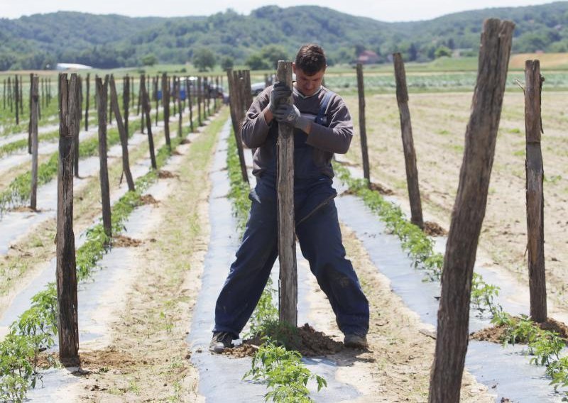 Europski farmeri poslali pismo upozorenja hrvatskima