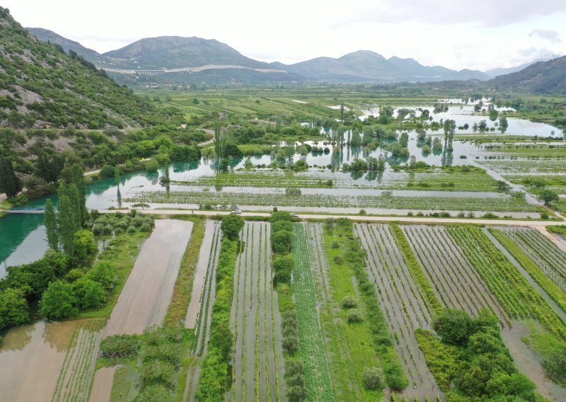 Poplave odnijele vrgoračke jagode: To je završena priča