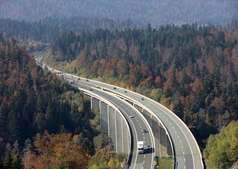 Vozači oprez! Medvjed uočen na autocesti A6 kod Delnica