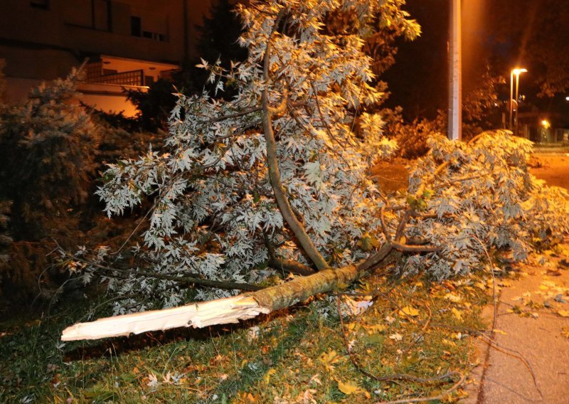 Nevrijeme pokosilo i Bosnu i Hercegovinu, poginula jedna žena