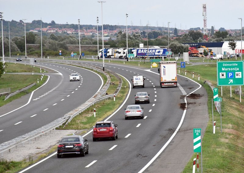 Pas uočen na autocesti A1, divlja svinja na A3