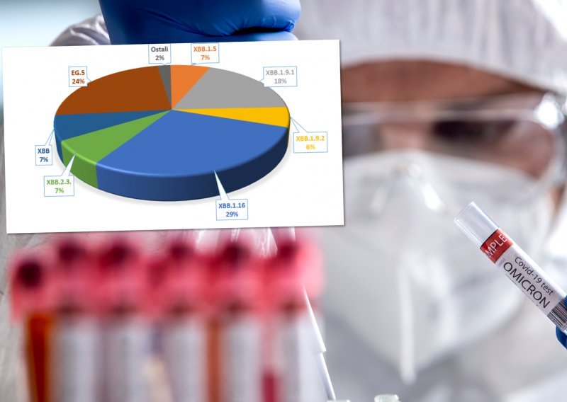 HZJZ: Ovo je najčešća podvarijanta covida u Hrvatskoj