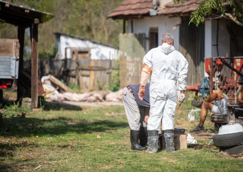 Posjednicima nadoknađeno 5,9 milijuna eura za eutanazirane svinje