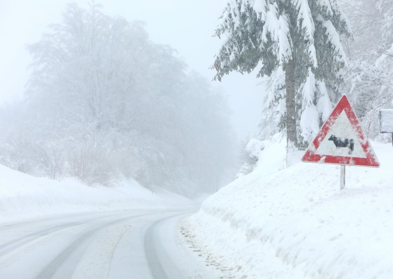 Snažna snježna nevremena pogodila Srbiju, Bugarsku i Rumunjsku