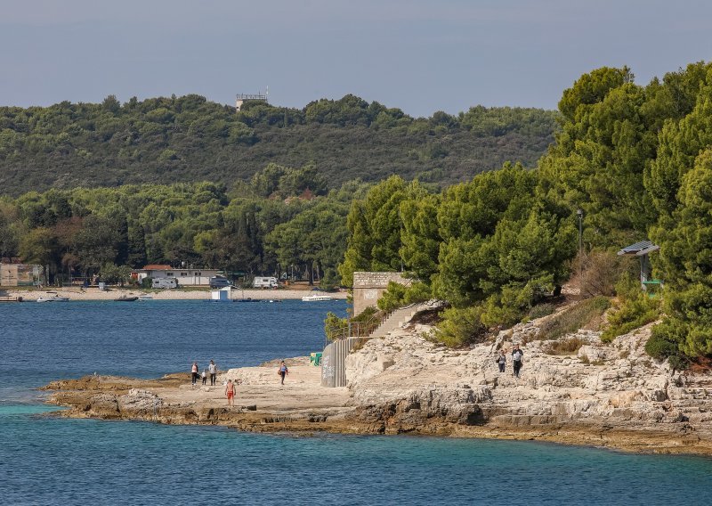 Zelena Istra i inicijativa Za Lungomare protiv sječe stabala u Puli