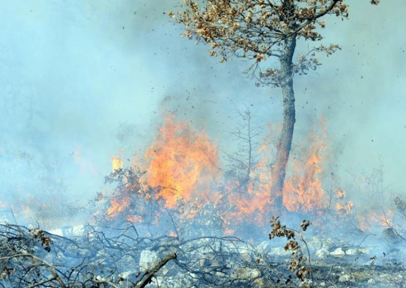 Požari haraju okolicom Požege