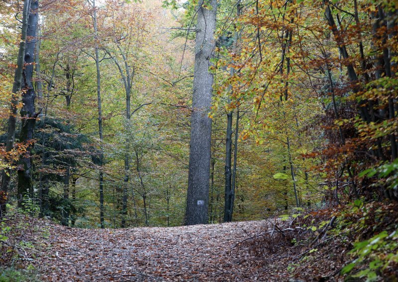 Stiže 17 milijuna eura za klimatske projekte, evo tko ih može dobiti