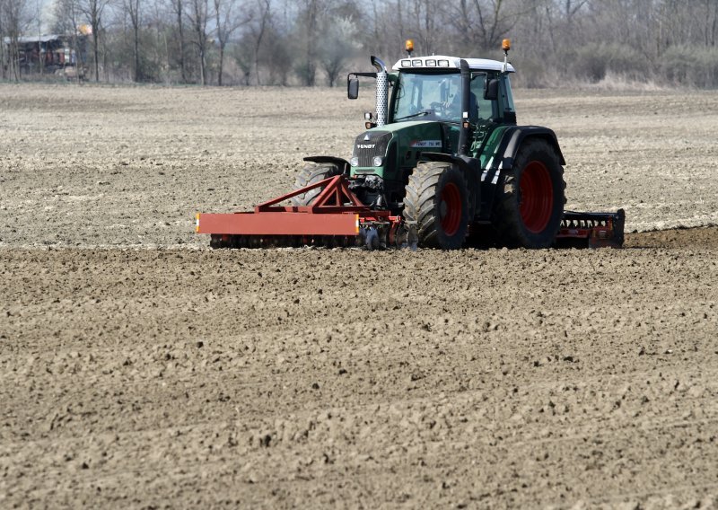 Što su posijali hrvatski farmeri? Jedna kultura je u renesansi, a probleme radi divljač