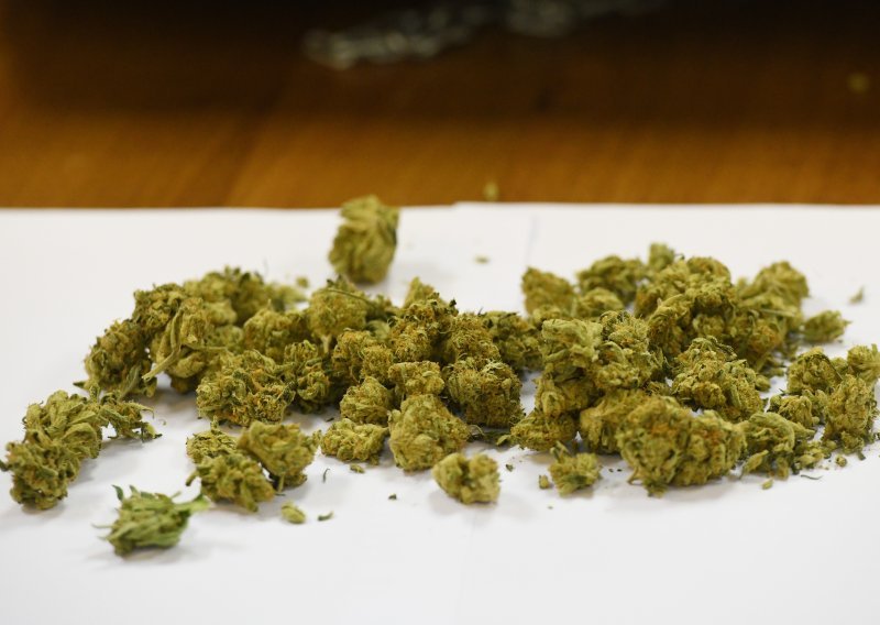 Marihuana u SAD-u postaje manje opasna droga