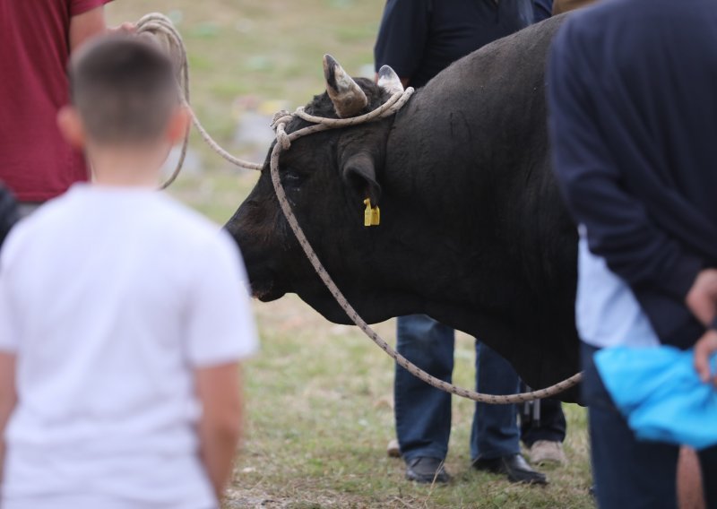 Muškarac ozlijeđen na bikijadi još uvijek u bolnici, podnesene dvije kaznene prijave