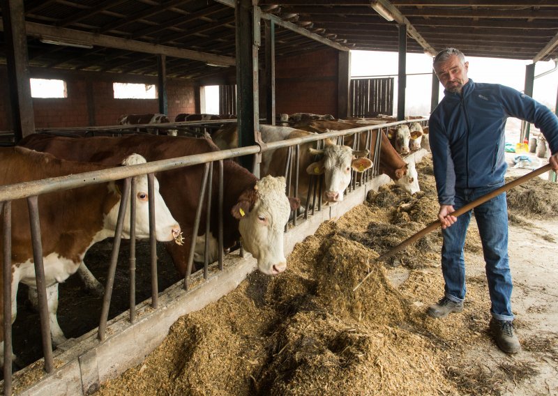 Proizvodnja mlijeka opet pala, farmer iz Drenovaca poručuje: Svi bježe od toga!