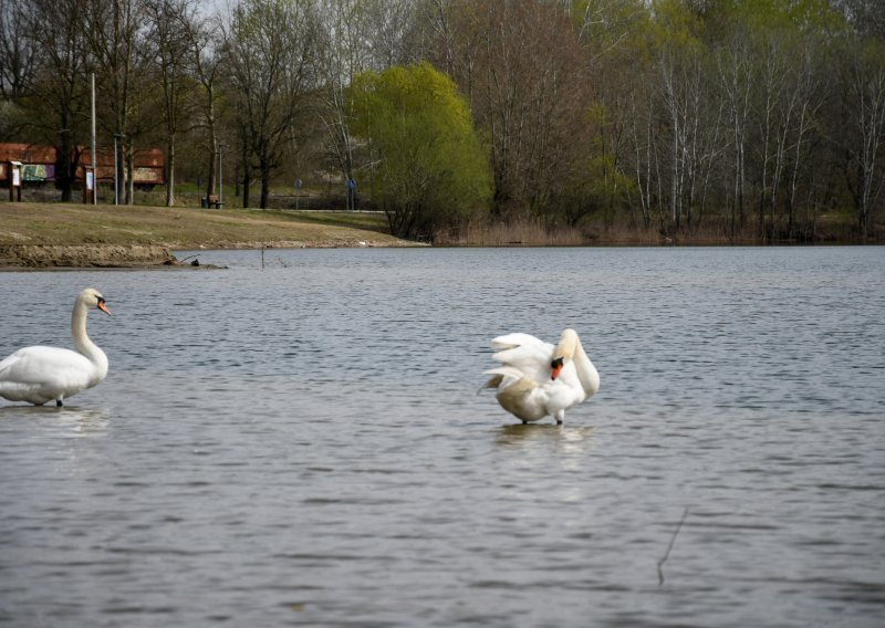Analiza vode nakon prošlogodišnjih poplava: Jezero Šoderica pogodno je za kupanje