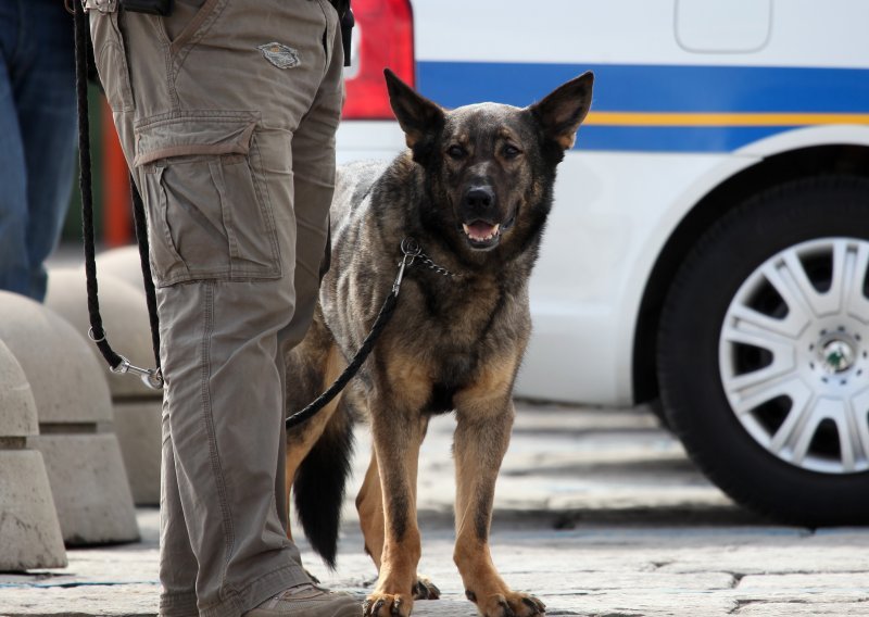 Psa bez brnjice vezala na ulaz policijske postaje, pa zaradila prijavu