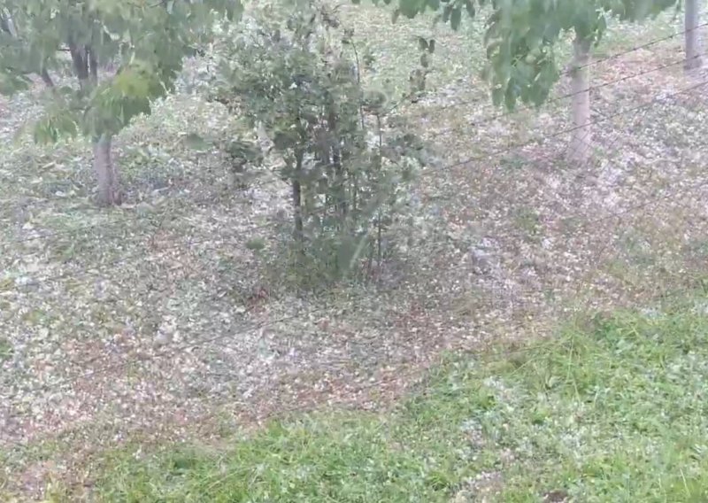 Pogledajte kako je tuča u rekordnom roku zabijelila vrt u okolici Zagreba