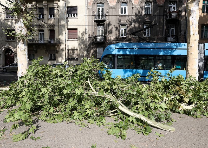 Nevrijeme srušilo stablo na prugu i prekinulo tramvajski promet u Zagrebu