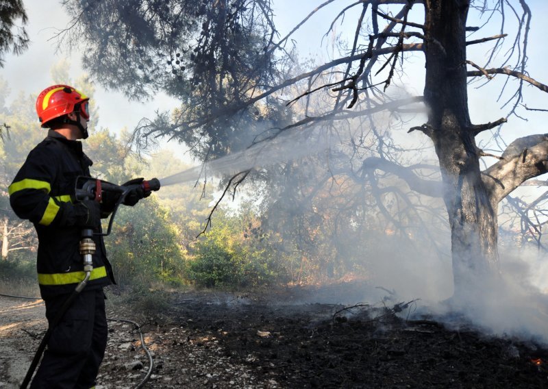 Ugašen požar borove šume na Mljetu, gasilo ga 12 vatrogasaca s četiri vozila