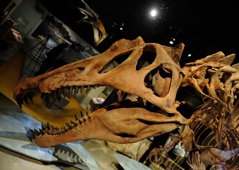 Težio je 900 kilograma: Fosil dinosaura otkriven na britanskom otoku
