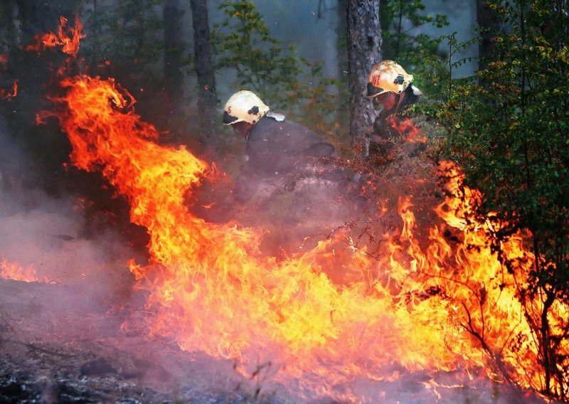 Bugarska se bori s požarima usred toplinskog vala