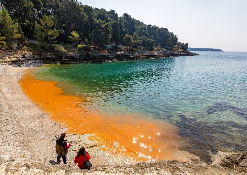 Sluz sve češća na našim plažama. Upitali smo znanstvenike što se to događa