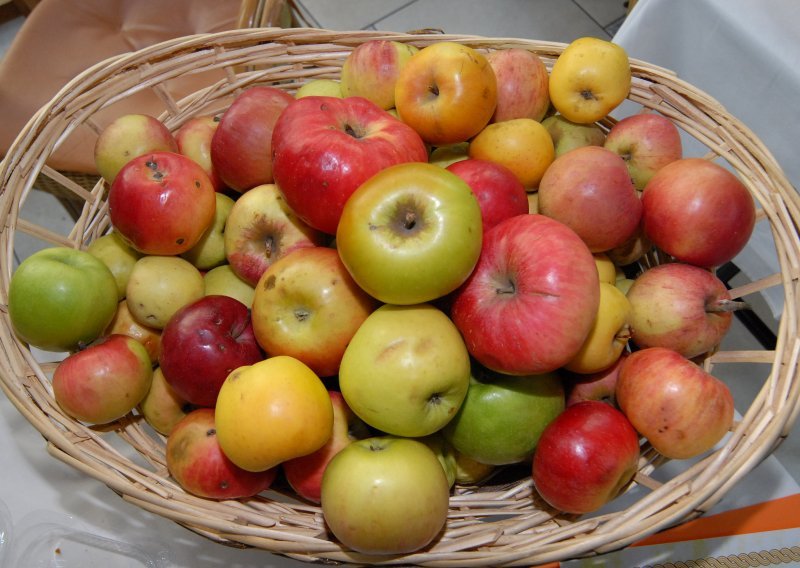 Teška vremena za voćare: Hoćemo li ove godine jesti skupe jabuke?