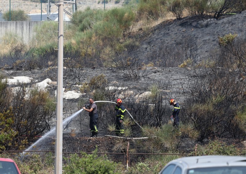 Lokaliziran požar u Rudinama, u akciji bila 52 vatrogasca