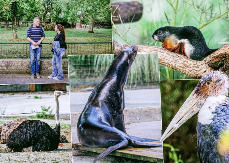 Mjesto na kojem se grad stapa s prirodom: Fascinantne priče iz zagrebačkog Zoološkog vrta